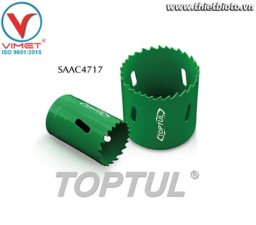 Đục lỗ roăng 17mm Toptul SAAC4717